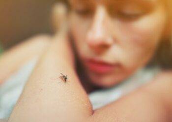 Alarm në Frankfurt, dy vdekje nga malaria; dyshohet se mushkonjat e infektuara u transportuan me fluturime nga Gjermania