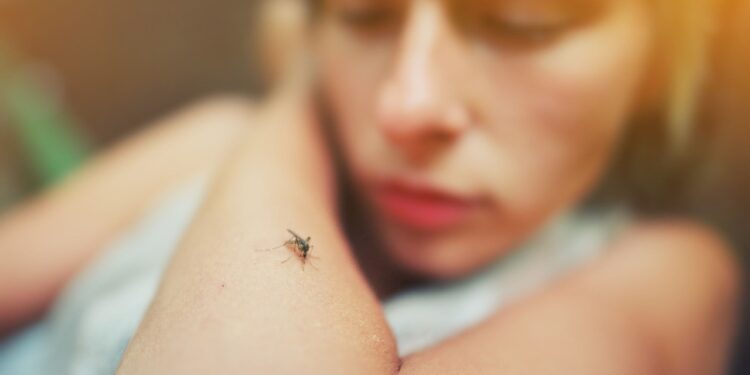 Alarm në Frankfurt, dy vdekje nga malaria; dyshohet se mushkonjat e infektuara u transportuan me fluturime nga Gjermania