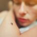 Alarm në Frankfurt, dy vdekje nga malaria; dyshohet se mushkonjat e infektuara u transportuan me fluturime nga Gjermania