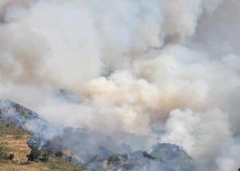 Alarm në Mallakastër, zjarri rindizet në Çerrilë dhe përfshin sipërfaqe me pisha