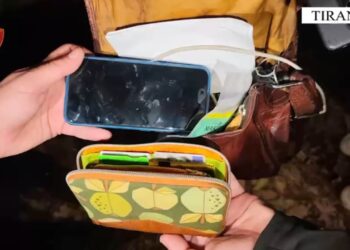 Arrestohet autori i grabitjes te Liqeni Artificial që sulmoi dhe i mori çantën një turiste gjermane