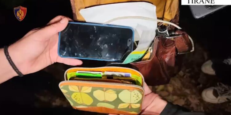 Arrestohet autori i grabitjes te Liqeni Artificial që sulmoi dhe i mori çantën një turiste gjermane
