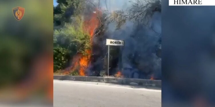 Arrestohet në flagrancë 52-vjeçari që ndezi disa vatra zjarri në pyje e kullota në Himarë
