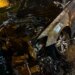Automjet i parkuar digjet gjatë natës në Vlorë, dyshohet për zjarrvënie të qëllimshme