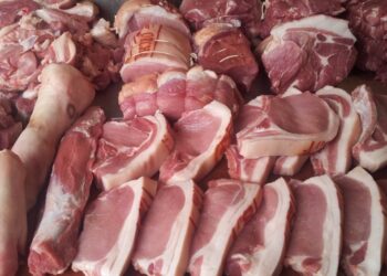 BE-ja ndaloi rreth 16 milionë kg mish derri nga Brazili, por Shqipëria vazhdon ta importojë me shumicë