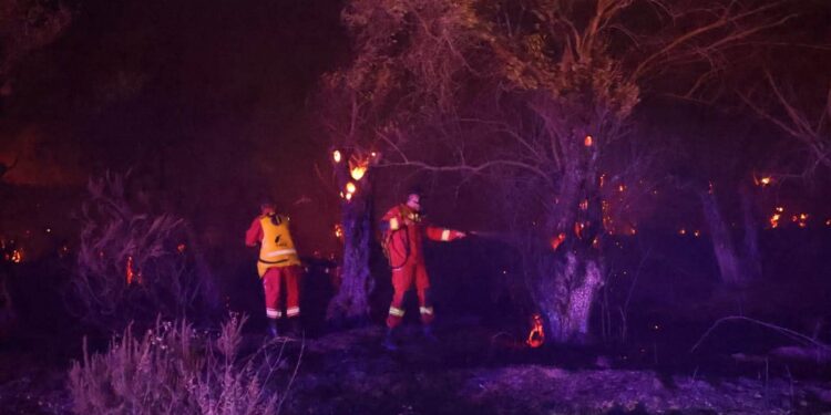 Banesa të djegura, banorë të evakuuar; 171 efektivë dhe 10 mjete zjarrfikëse për fikjen e zjarrit në Himarë