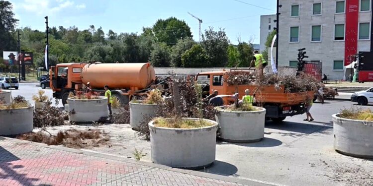 Bashkia e Tiranës rigjelbëron sheshin Nënë Tereza, pemët e thara zëvendësohen me fidanë të rinj