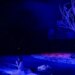 Chekhov: Muzg në kopshtin e qershive hap sezonin e ri në Teatrin kombëtar, duket si kronikë aktuale