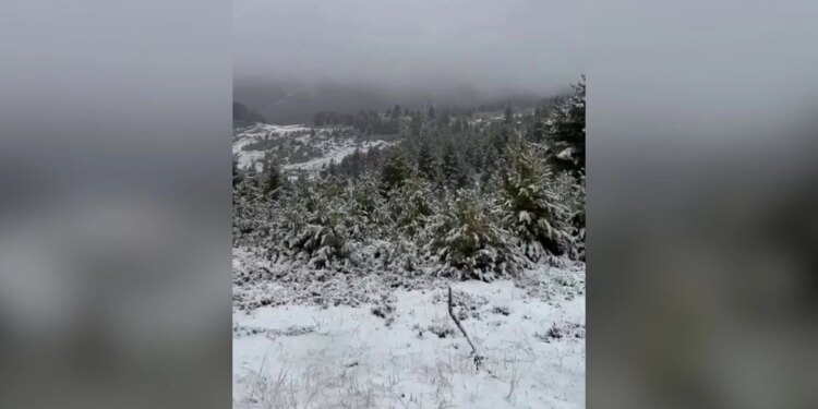 Dëborë në malet e Tropojës; shiu sjell gurë e dhera në disa rrugë të Kukësit, qarkullimi pa probleme