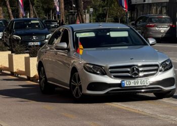 Delegacioni gjerman në Kuvend takon Ballën e Peleshin; kreu PS: mirënjohje për mbështetjen ndaj Shqipërisë në rrugëtimin europian
