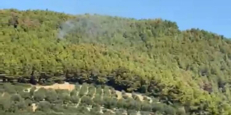 Dyshime për zjarrvënie të qëllimshme në Peshtan; Banori ngre alarmin: dje u shua, sot digjet një tjetër zonë