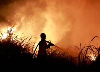 El Niño thyen rekordin e temperaturave, The Guardian: Ekspertët paralajmërojnë ndikime të forta globale