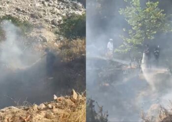 Flakët përfshijnë zonën pyjore të Kllëzës në Gjirokastër; zjarrfikësit ndërhyjnë në kohë dhe e shuajnë para përhapjes