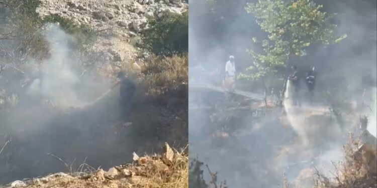 Flakët përfshijnë zonën pyjore të Kllëzës në Gjirokastër; zjarrfikësit ndërhyjnë në kohë dhe e shuajnë para përhapjes