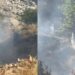 Flakët përfshijnë zonën pyjore të Kllëzës në Gjirokastër; zjarrfikësit ndërhyjnë në kohë dhe e shuajnë para përhapjes