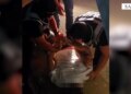 Goditet rrjeti i drogës në Sarandë, 20 të arrestuar; sekuestrohen kokainë, kanabis dhe dy pistoleta