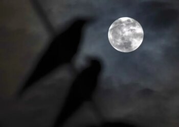 Hëna e Korrjes bashkohet me Saturnin në një spektakël të dyfishtë këtë fundjavë