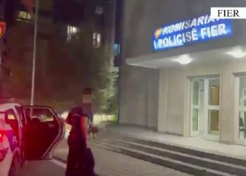 Ndezën zjarre që dëmtuan toka bujqësore, arrestohen dy persona në Fier; një tjetër procedohet në gjendje të lirë