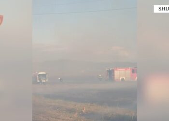 Ndezi zjarr në tokën e tij; flakët u përhapën pranë banesave, arrestohet 46-vjeçari në Shijak