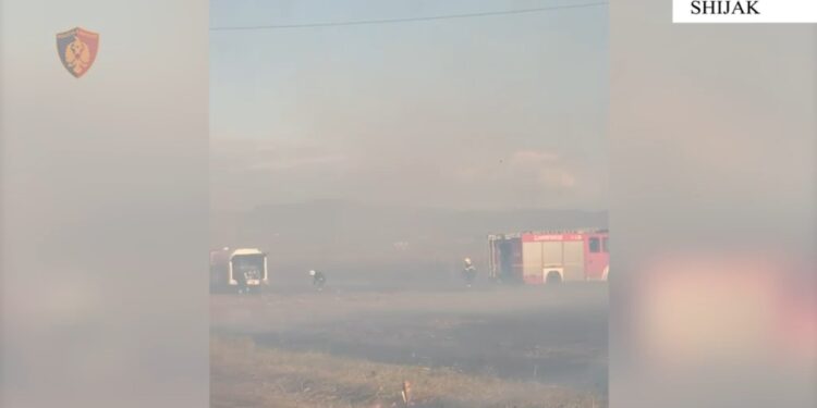 Ndezi zjarr në tokën e tij; flakët u përhapën pranë banesave, arrestohet 46-vjeçari në Shijak