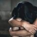 Në Tiranë: 12-vjeçarja abuzohet seksualisht nga tezja dhe djali i hallës; në telefon u gjetën video intime