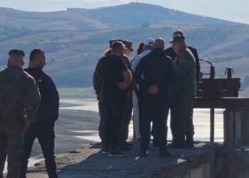 Ngordhja masive e peshqve në rezervuarin e Lushnjës; nis pastrimi, ushtria dhe bashkia largojnë tonelatat