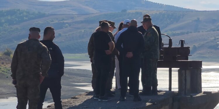 Ngordhja masive e peshqve në rezervuarin e Lushnjës; nis pastrimi, ushtria dhe bashkia largojnë tonelatat