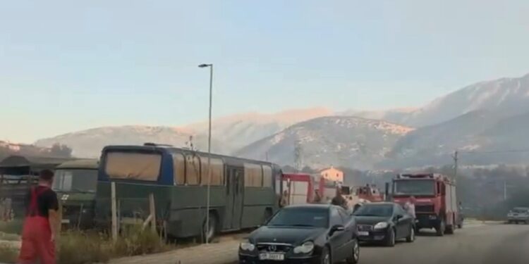 Përmirësohet situata me zjarrin në Himarë; banorët apelojnë për ndihmë, mbi 6 mijë rrënjë ullinj shekullorë të prekur
