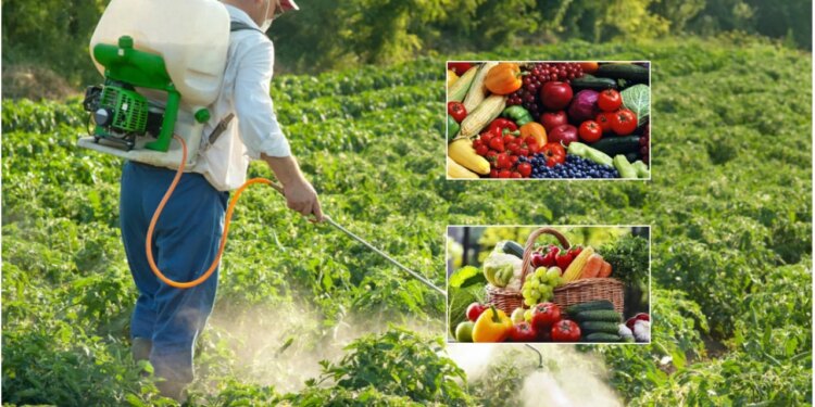 Pesticidet në fruta dhe perime: agronomët rekomandojnë preparate me karencë të shkurtër; kërkohet protokoll i ri