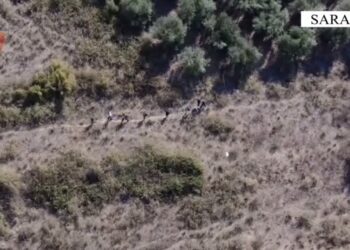 Pranë kufirit me Greqinë kapen 6 emigrantë në makina, arrestohen 2 persona