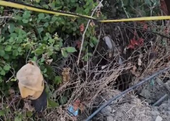 Punonte në Marglliç të Patosit, rrëzohet shtylla, humb jetën elektricisti 46-vjeçar