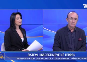 Rama më shkruan edhe në 12 apo 1 të natës: nga skema me mishin te kontrollet e karburanteve