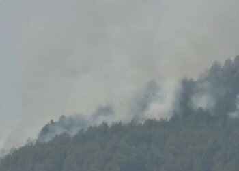 Rivendosen vatrat e zjarrit në fshatin Kalivaç të Lezhës, nis ndërhyrja ajrore për fikjen e flakëve
