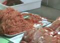 Salmonela në mishin brazilian: AKU gjeti 14.8 tonë të kontaminuar, 1.32 tonë u shitën te konsumatorët