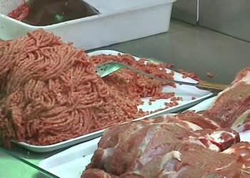 Salmonela në mishin brazilian: AKU gjeti 14.8 tonë të kontaminuar, 1.32 tonë u shitën te konsumatorët