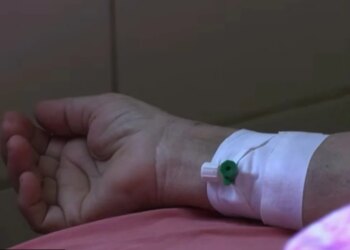 Sëmundja e shiut në Evropë — 126 raste në 10 vende; ECDC: rreziku për popullatën mbetet shumë i ulët