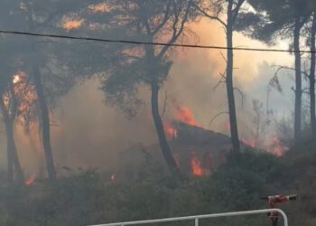 Situatë alarmante në Qafën e Koshovicës, Fier: flakët përfshijnë lokal dhe shtëpi të pabanuar; nis ndërhyrja ajrore