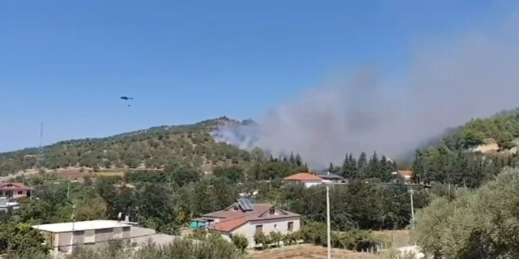 Situatë kritike me zjarrin në Fier; flakët në Frakull të Madhe i afrohen banesave