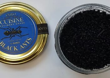 Sorbeto me garniture milingonash të zeza në restorantin me 2 yje Mishelin, pronarja gjobitet 11 mijë dollarë