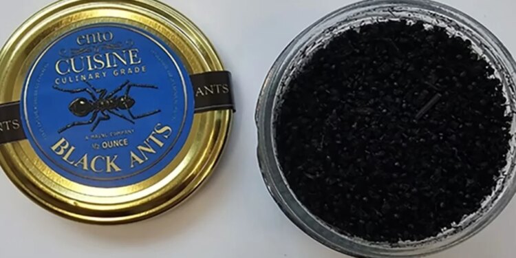 Sorbeto me garniture milingonash të zeza në restorantin me 2 yje Mishelin, pronarja gjobitet 11 mijë dollarë