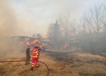 Stalla e bagëtive përfshihet nga flakët në Levan të Fierit; makineritë bujqësore digjen, shpëtohen 20 krerë lopë