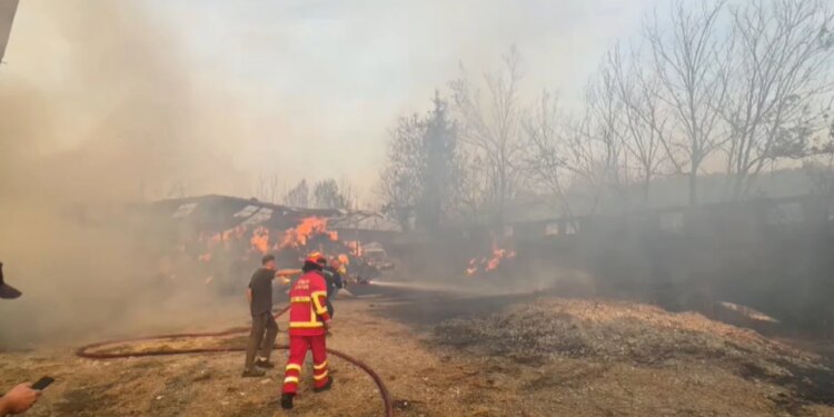 Stalla e bagëtive përfshihet nga flakët në Levan të Fierit; makineritë bujqësore digjen, shpëtohen 20 krerë lopë