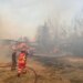 Stalla e bagëtive përfshihet nga flakët në Levan të Fierit; makineritë bujqësore digjen, shpëtohen 20 krerë lopë