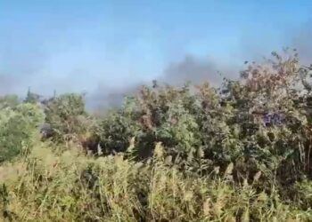 Stallë bagëtish përfshihet nga flakët në fshatin Delisuf të Vlorës