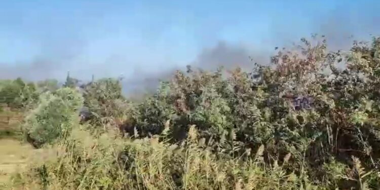 Stallë bagëtish përfshihet nga flakët në fshatin Delisuf të Vlorës