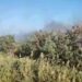 Stallë bagëtish përfshihet nga flakët në fshatin Delisuf të Vlorës
