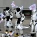Të mbrojmë vendet e punës — E pazakontë: robotët protestojnë kundër inteligjencës artificiale në Poloni