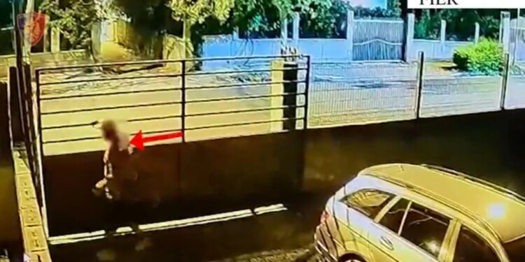 Tre persona në pranga për vjedhje banesash në Patos dhe jo vetëm; tek njërit u gjet kanabis