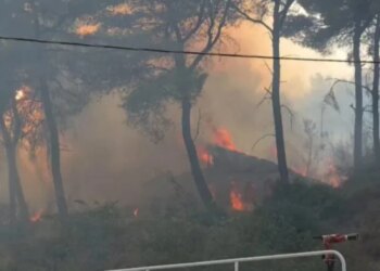 Vendi në flakë: 39 vatra brenda 24 orësh, Fier dhe Himarë problematike, mbi 800 forca në terren