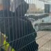 Video/ Pas humbjes Broja përplaset me tifozin, sulmuesi: Kam qenë jashtë për një vit